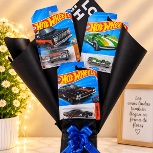 Ramos de carros hotwheels